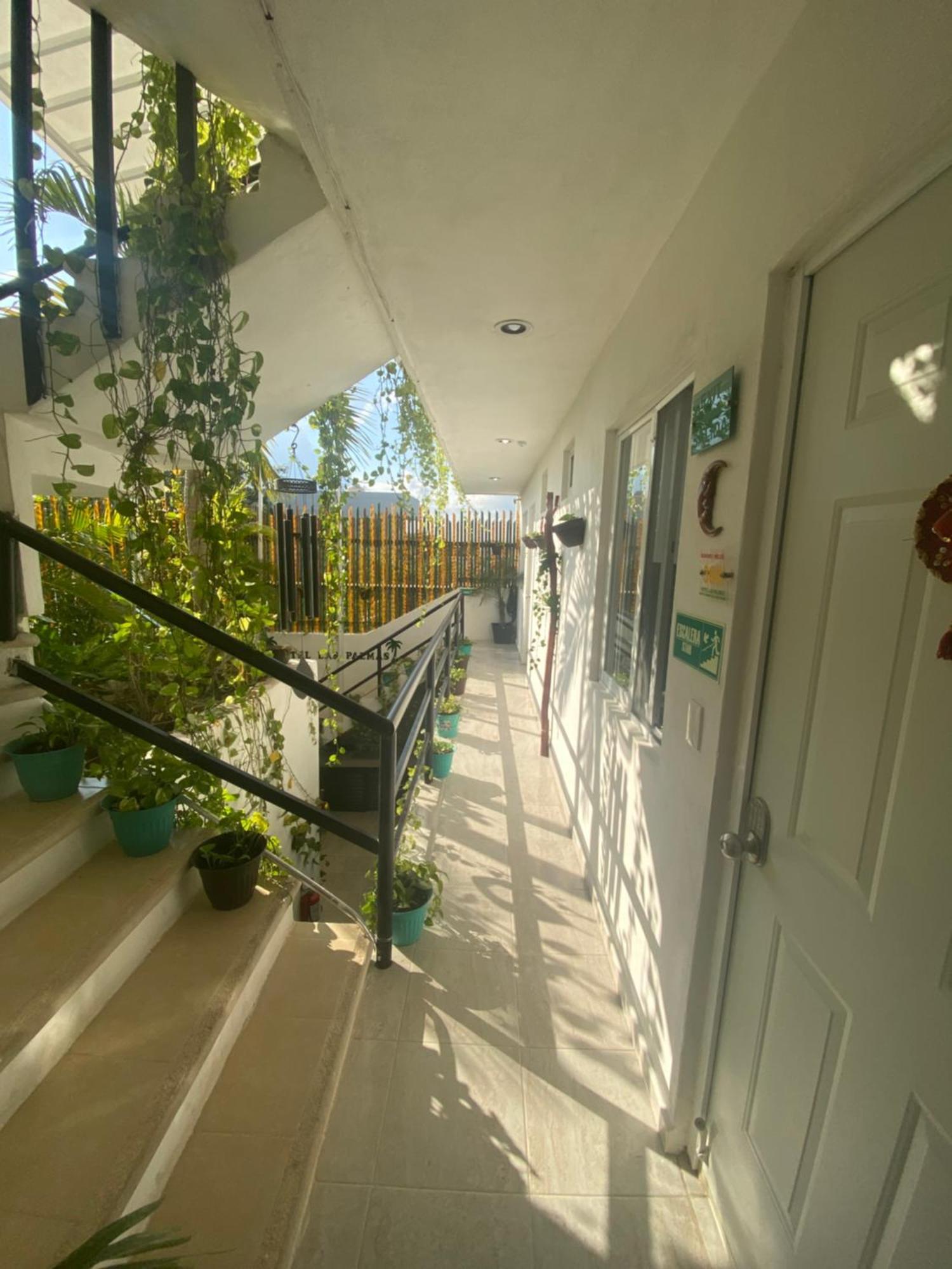 Lux Studio Room Las Palmas Пуэрто-Морелос Экстерьер фото
